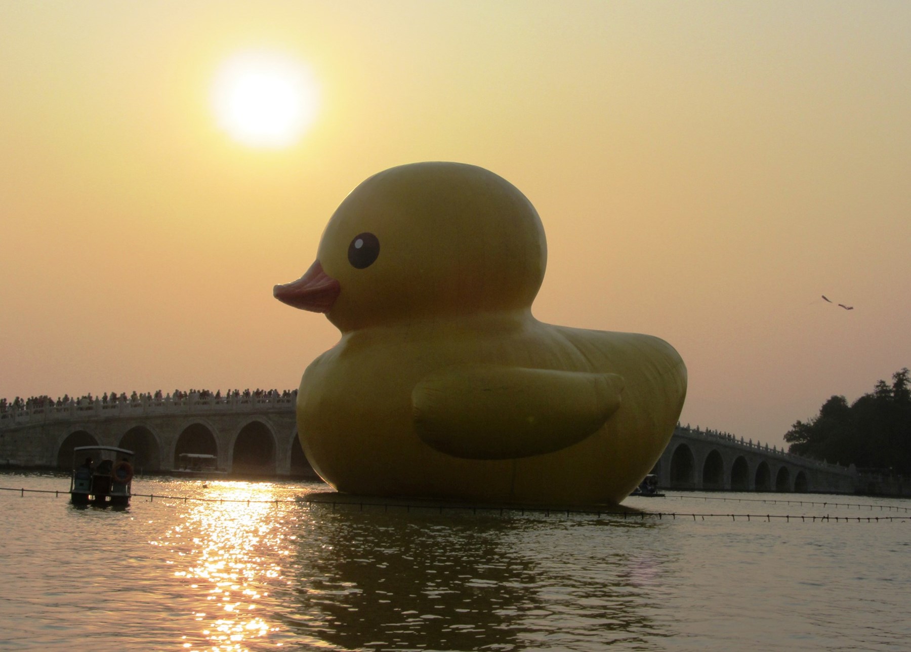 Case Study Beijing 14