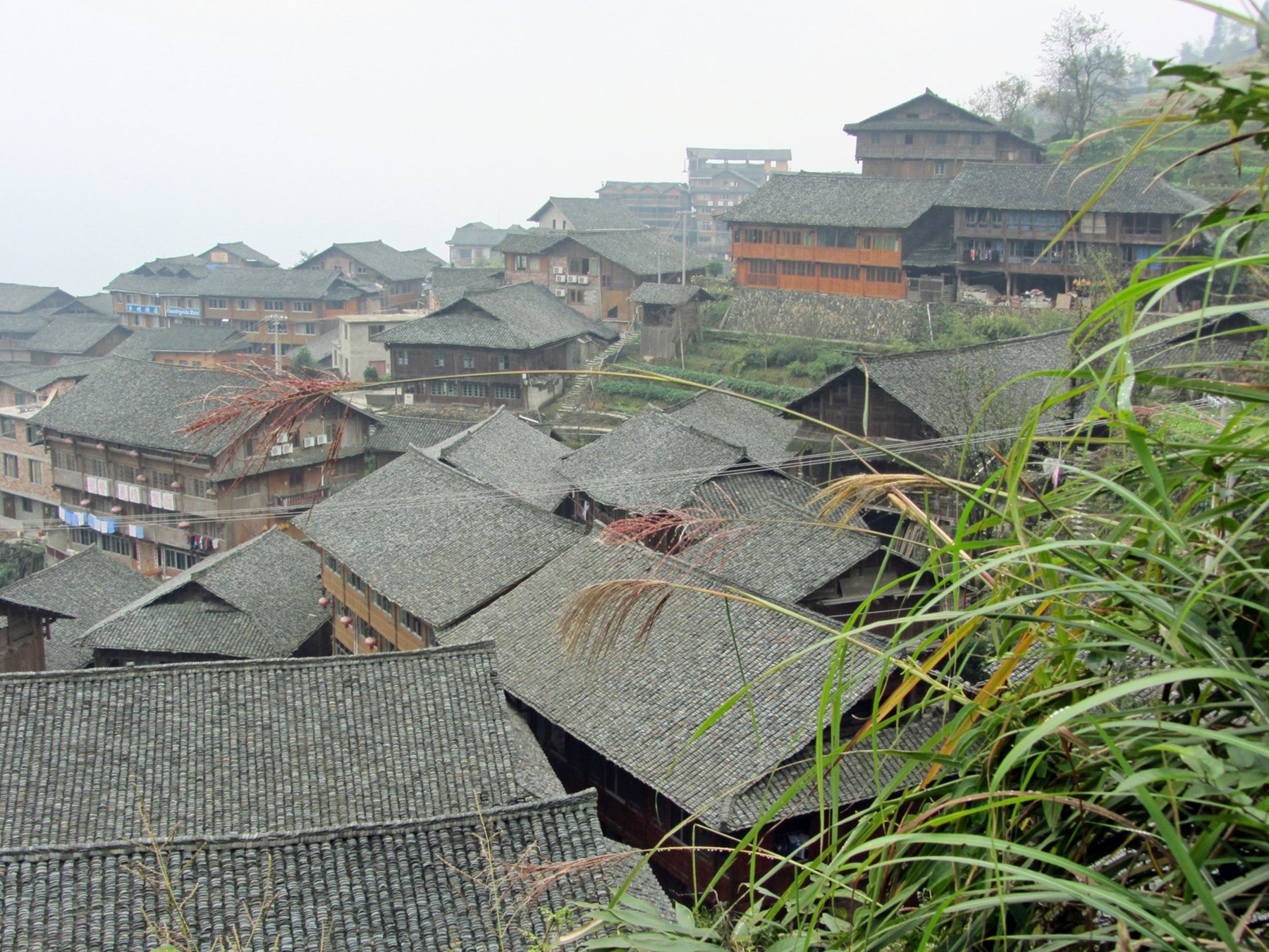 Case Study Longsheng 1