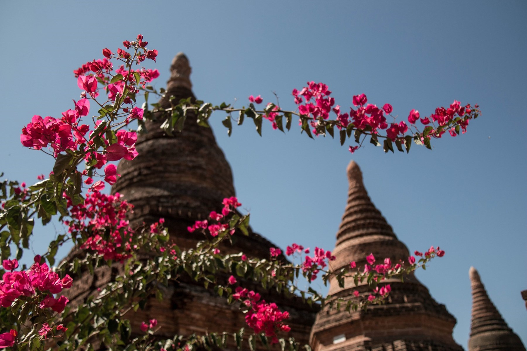 Dean Morris Burma Pics 9