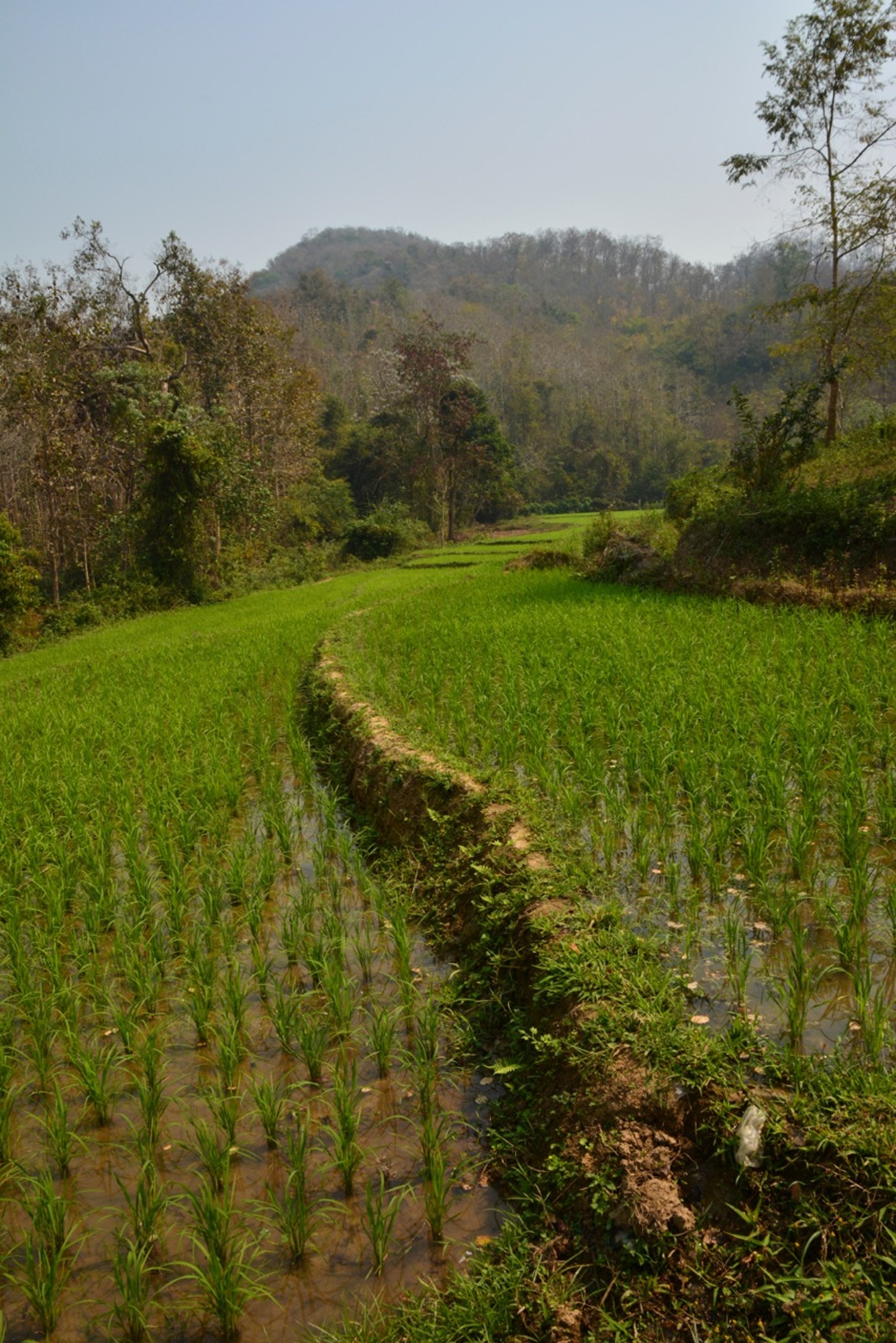 Charles Nissen Cambodia Laos And Vietnam March 2014 5