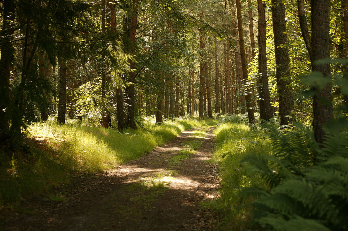 Luxury Scotland Old New