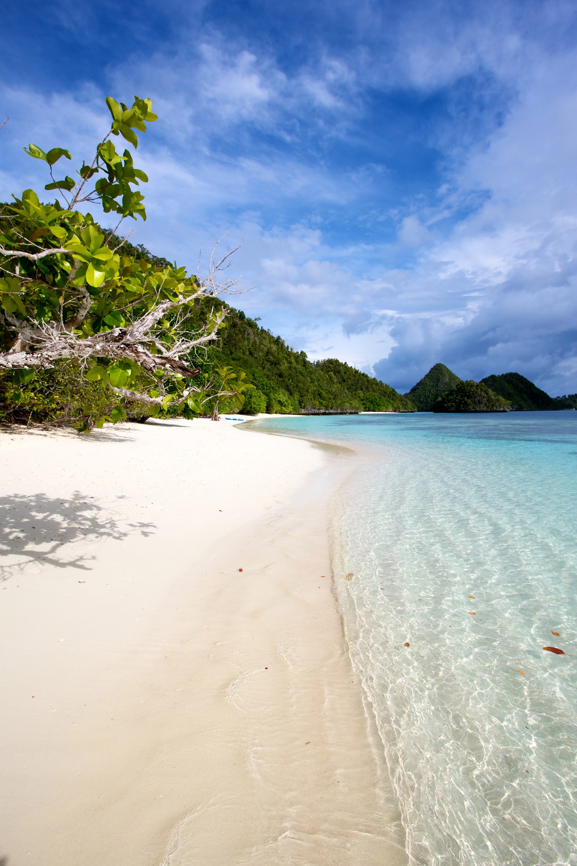 Sumba Sea Safari Tiger Blue Nihiwatu 2 