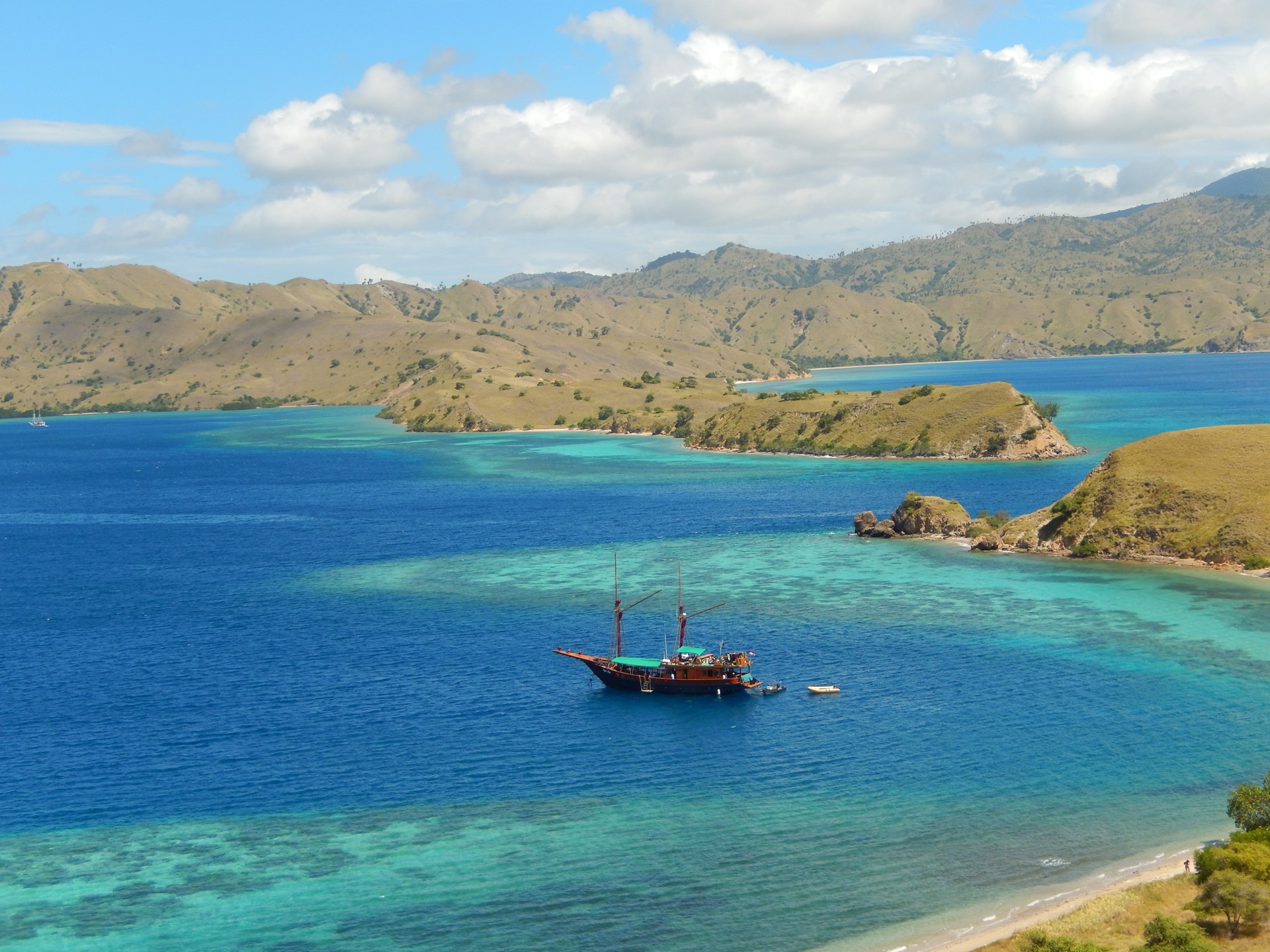 Sumba Sea Safari TIGER BLUE Indonesia 3 1 