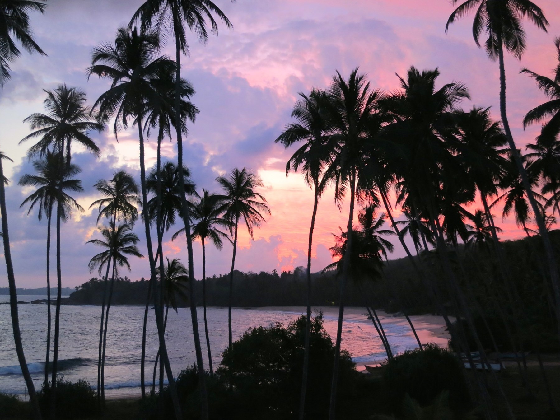 Ms Mclaughlin Sri Lanka March 2014 1