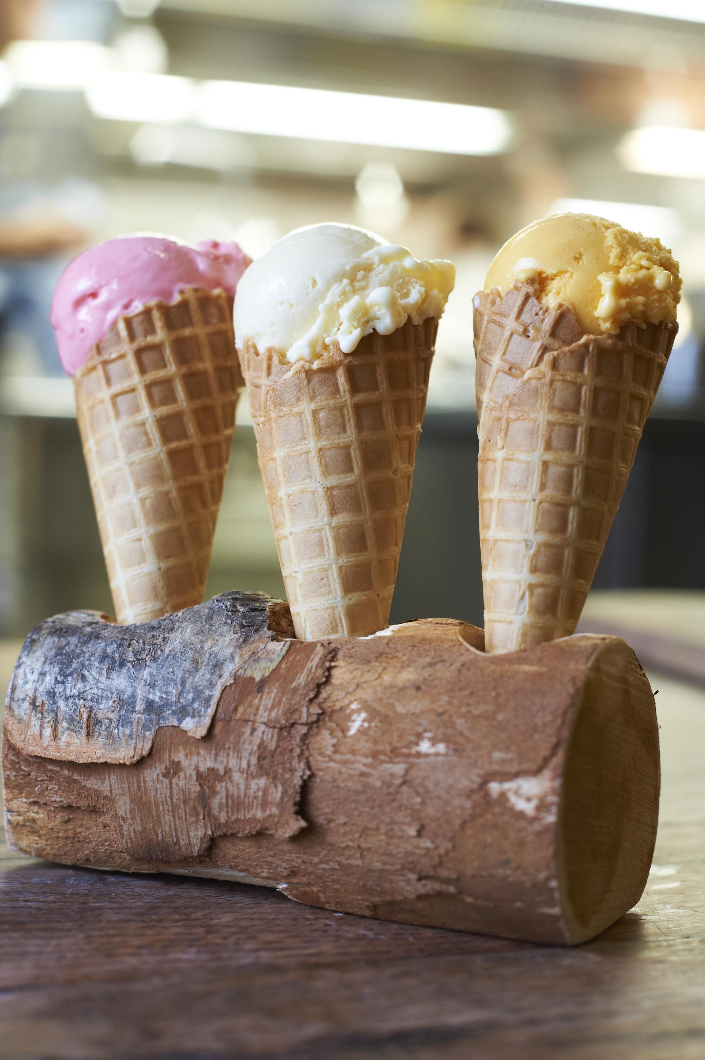 Lime Wood Hampshire UK 22 