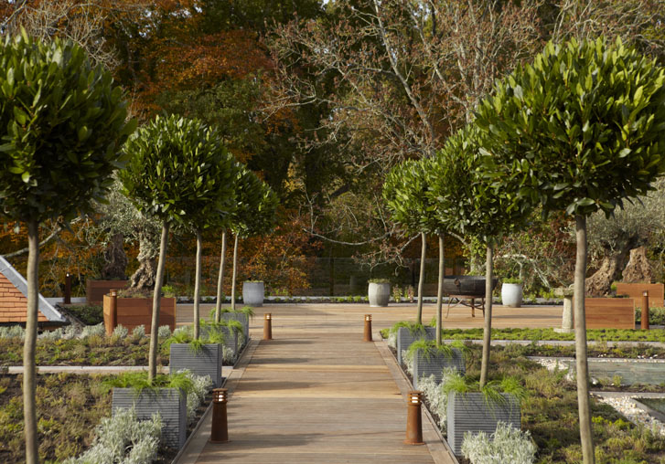 Lime Wood Hampshire UK 27 