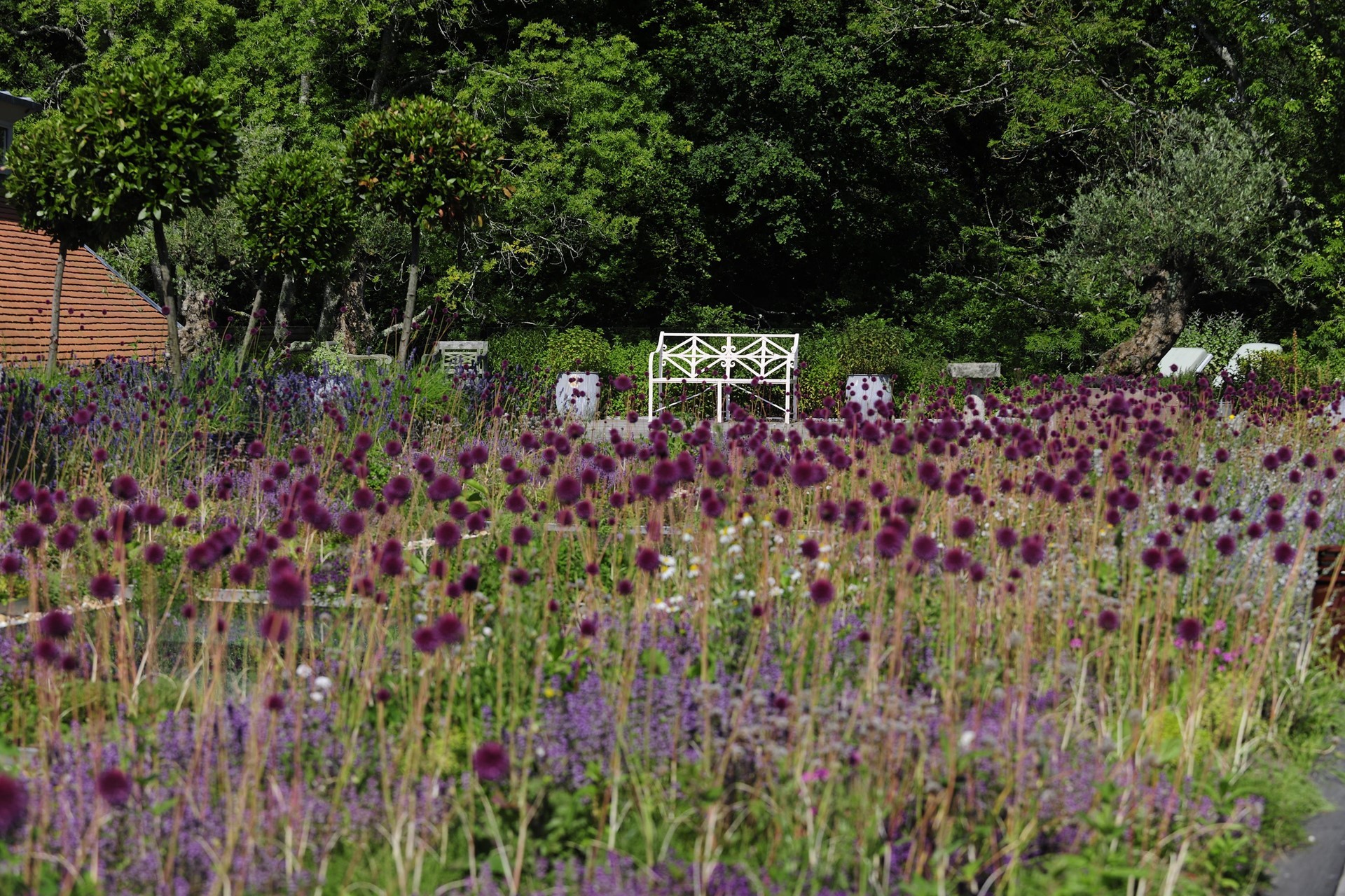 Lime Wood Hampshire UK 28 