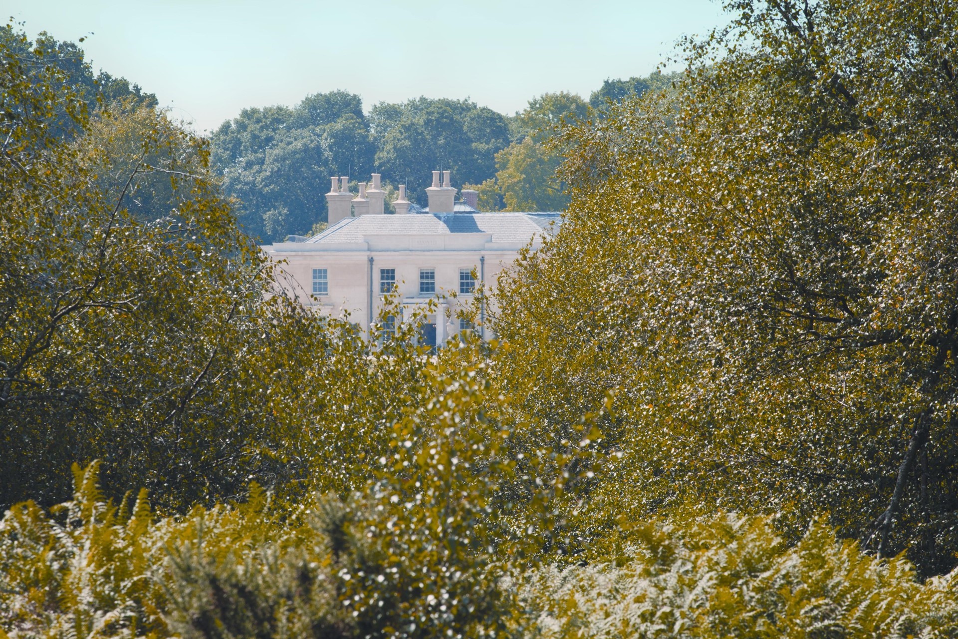 Lime Wood Hampshire UK 33 