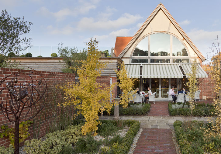 Lime Wood Hampshire UK 53 