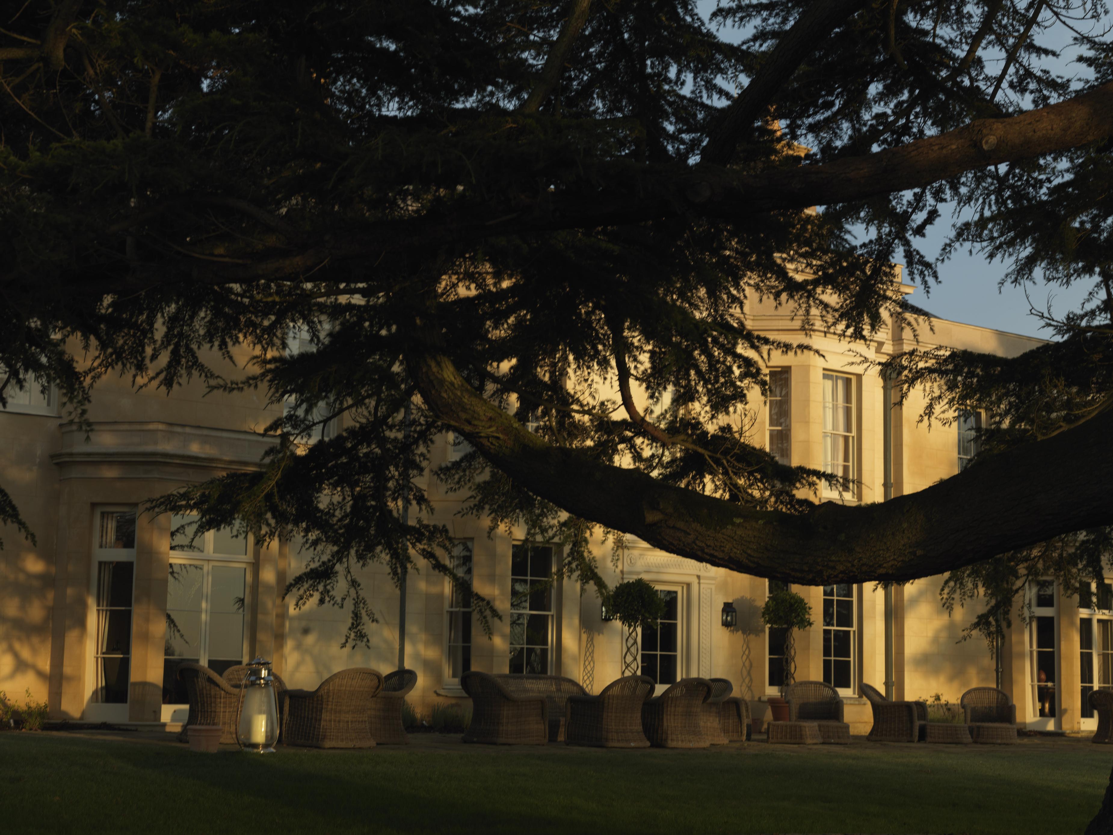 Lime Wood Hampshire UK 62 