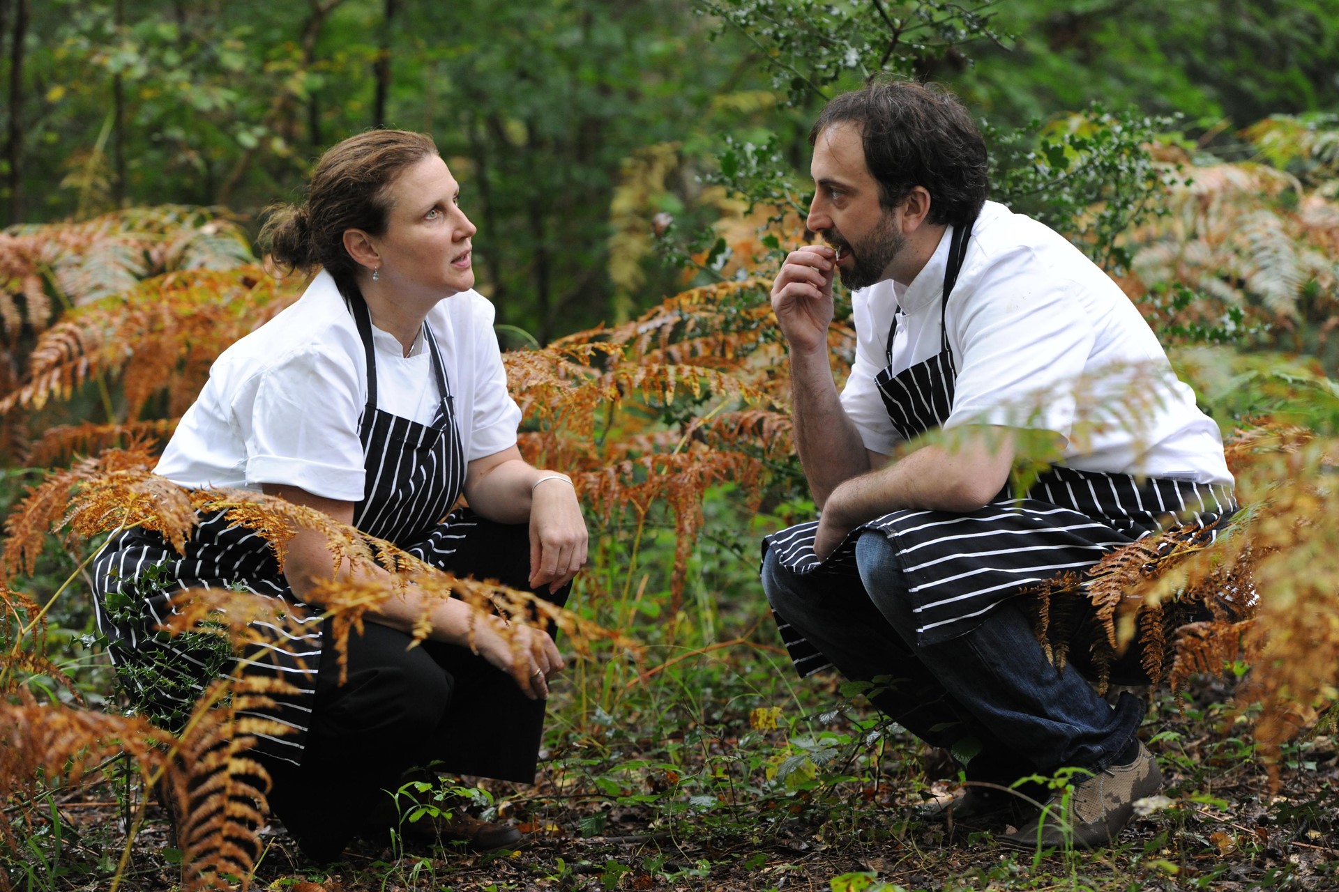 Lime Wood Hampshire UK 1  (1)