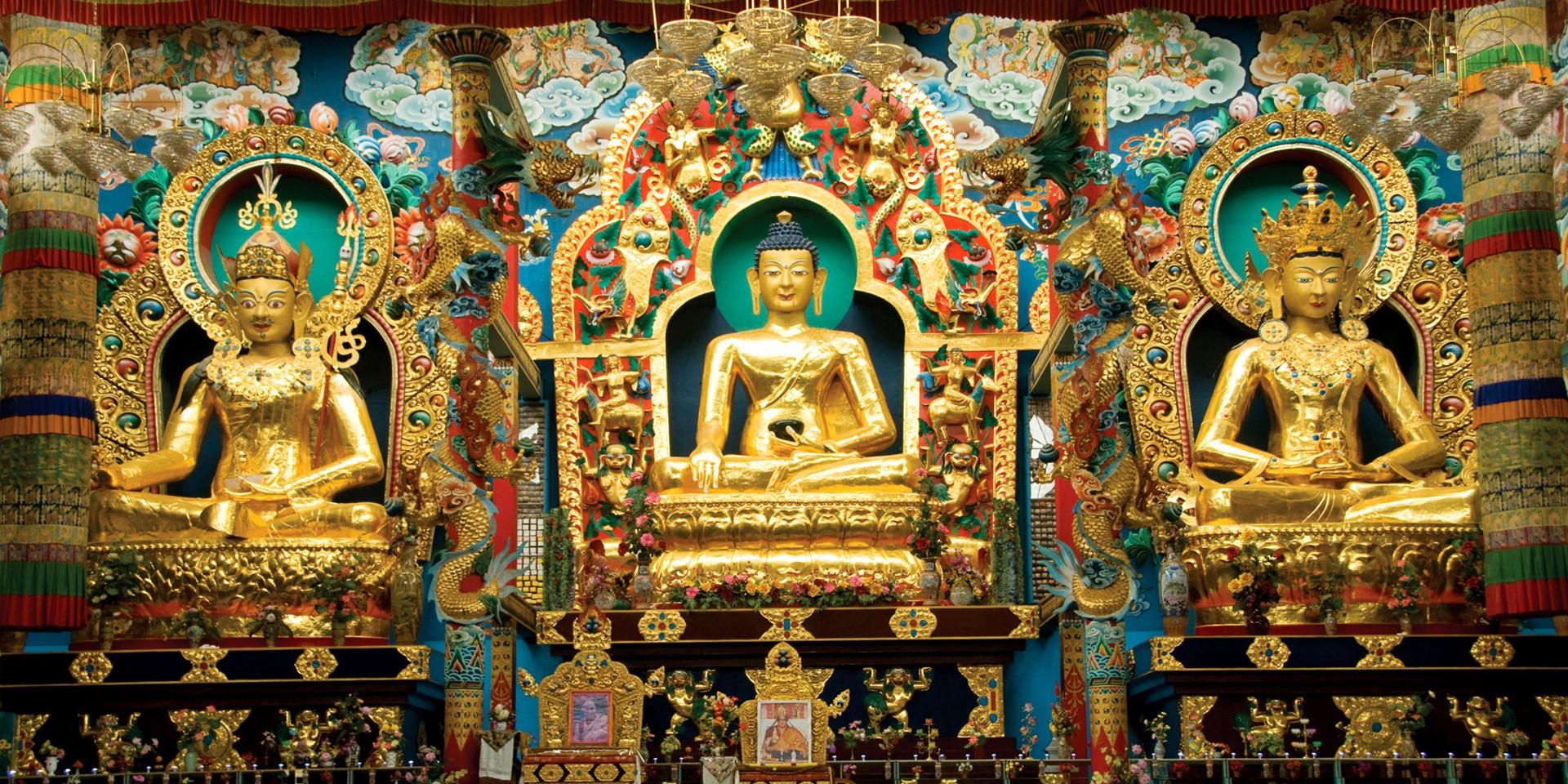 Orange County Coorg Karnataka South India 12 