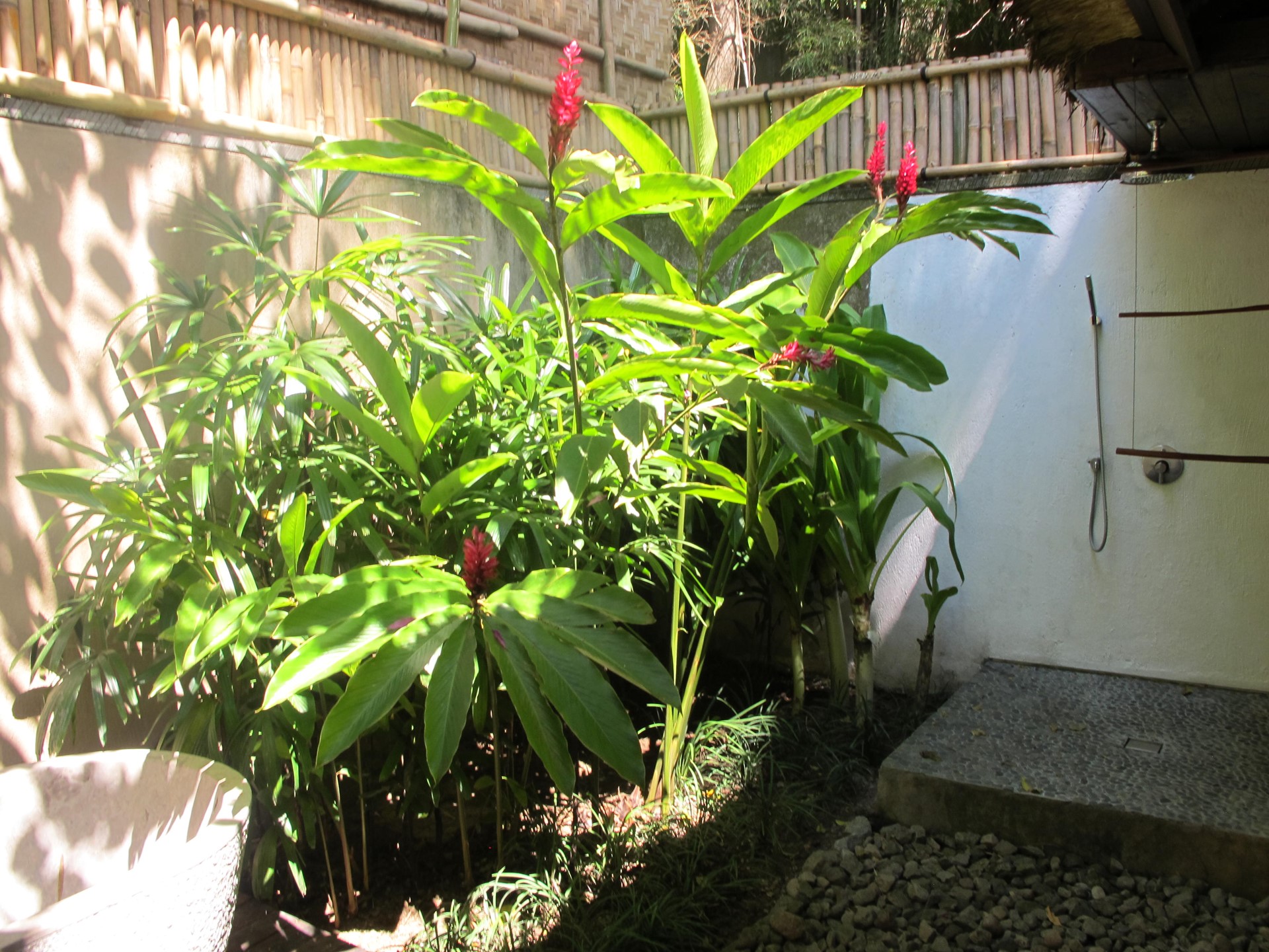 Jeeva Klui Lombok Indonesia 46 