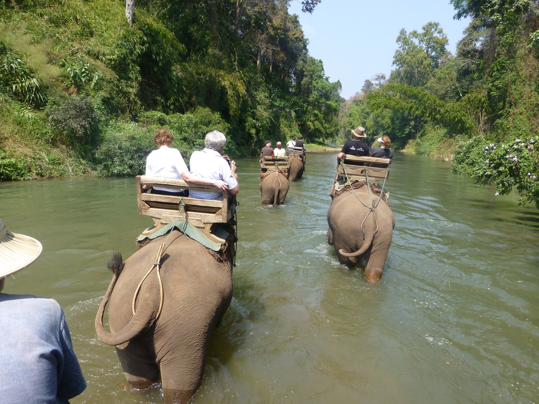 Michael And Adele Indochina March 2014