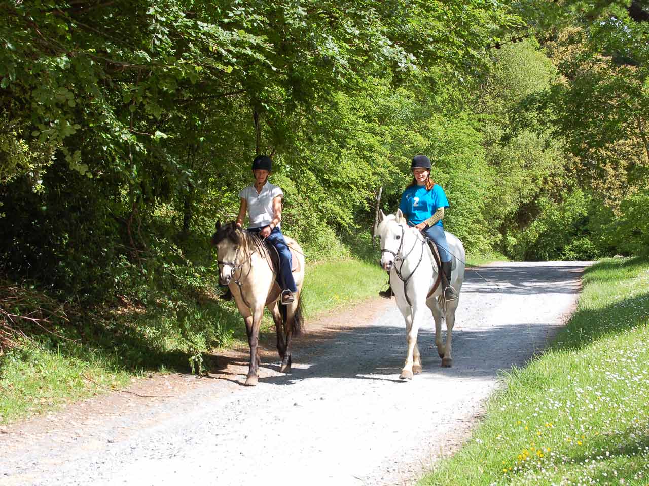 Ashford Castle Cong Ireland Ampersand Travel 21 