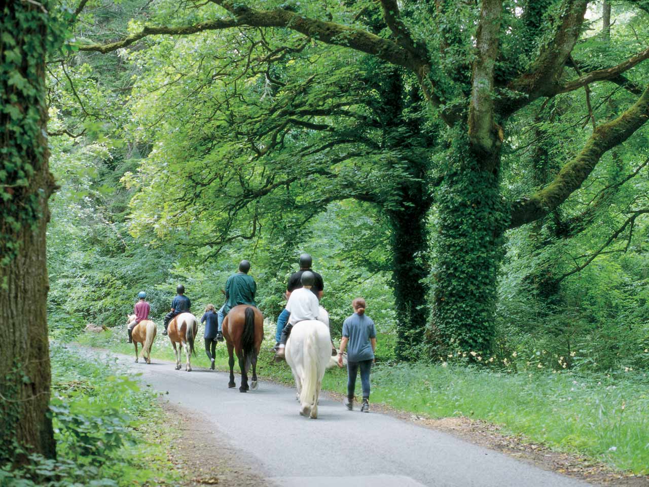 Ashford Castle Cong Ireland Ampersand Travel 22 