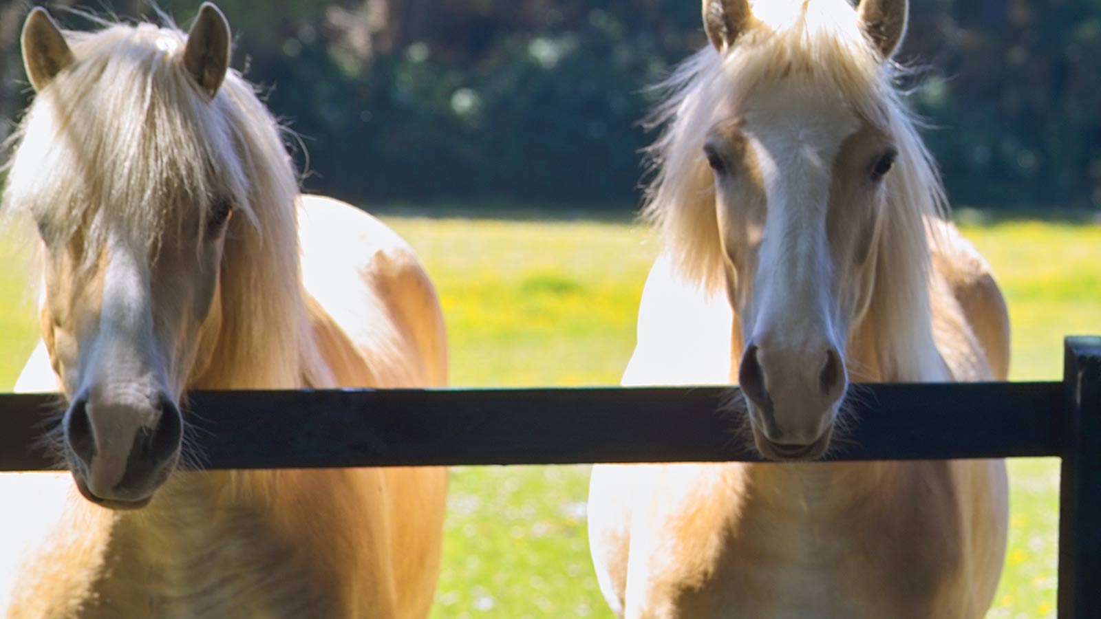 The Europe Killarney Ampersand Travel Hotel 16 