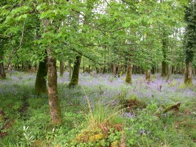 Killarney County Kerry Ireland Ampersand Travel 1 