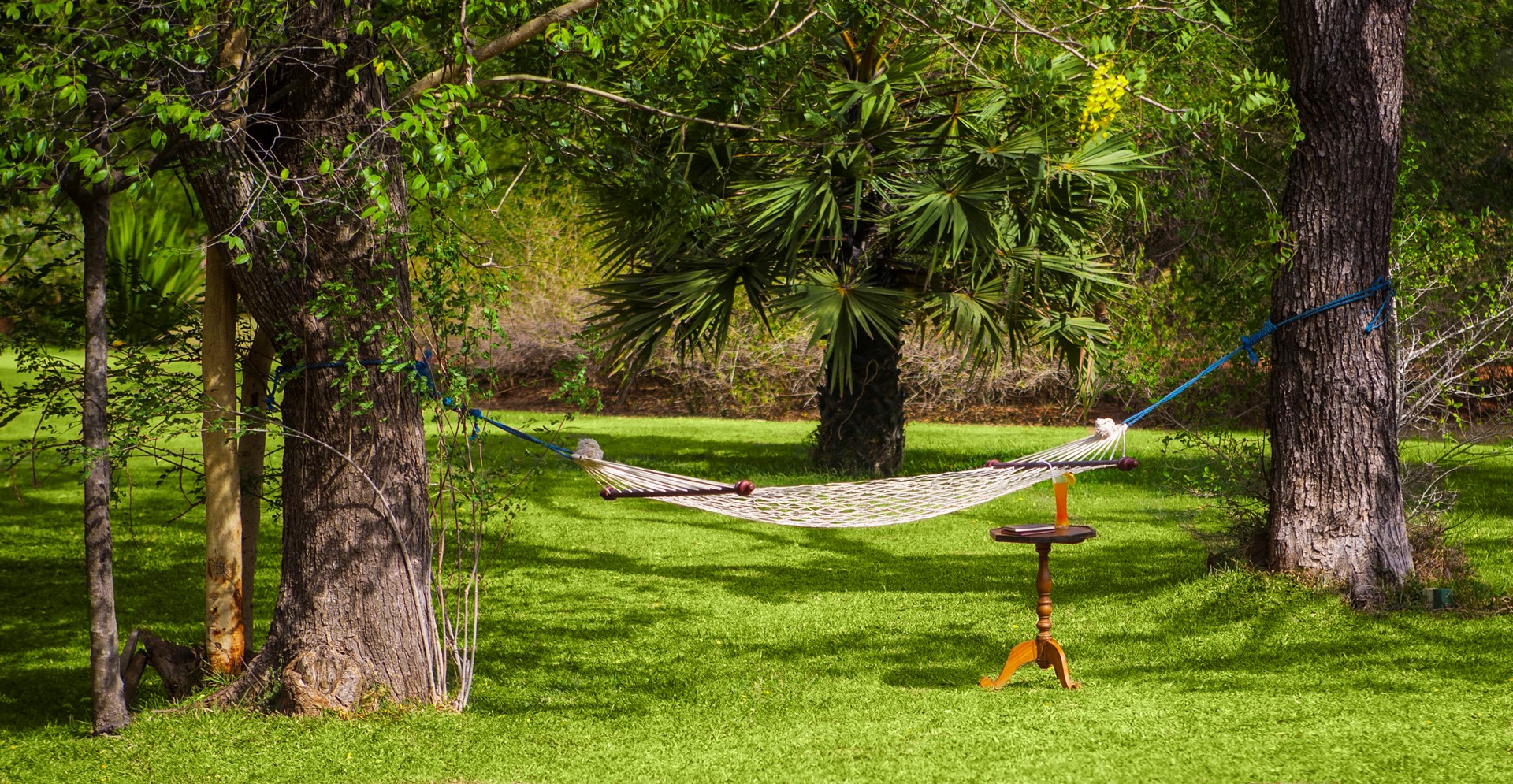 Ulagalla Anuradhapura SRI LANKA 7 