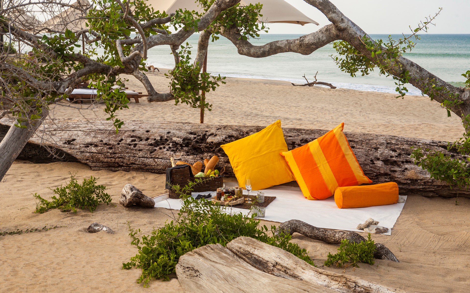 Jungle Beach Trincomalee SRI LANKA 5 