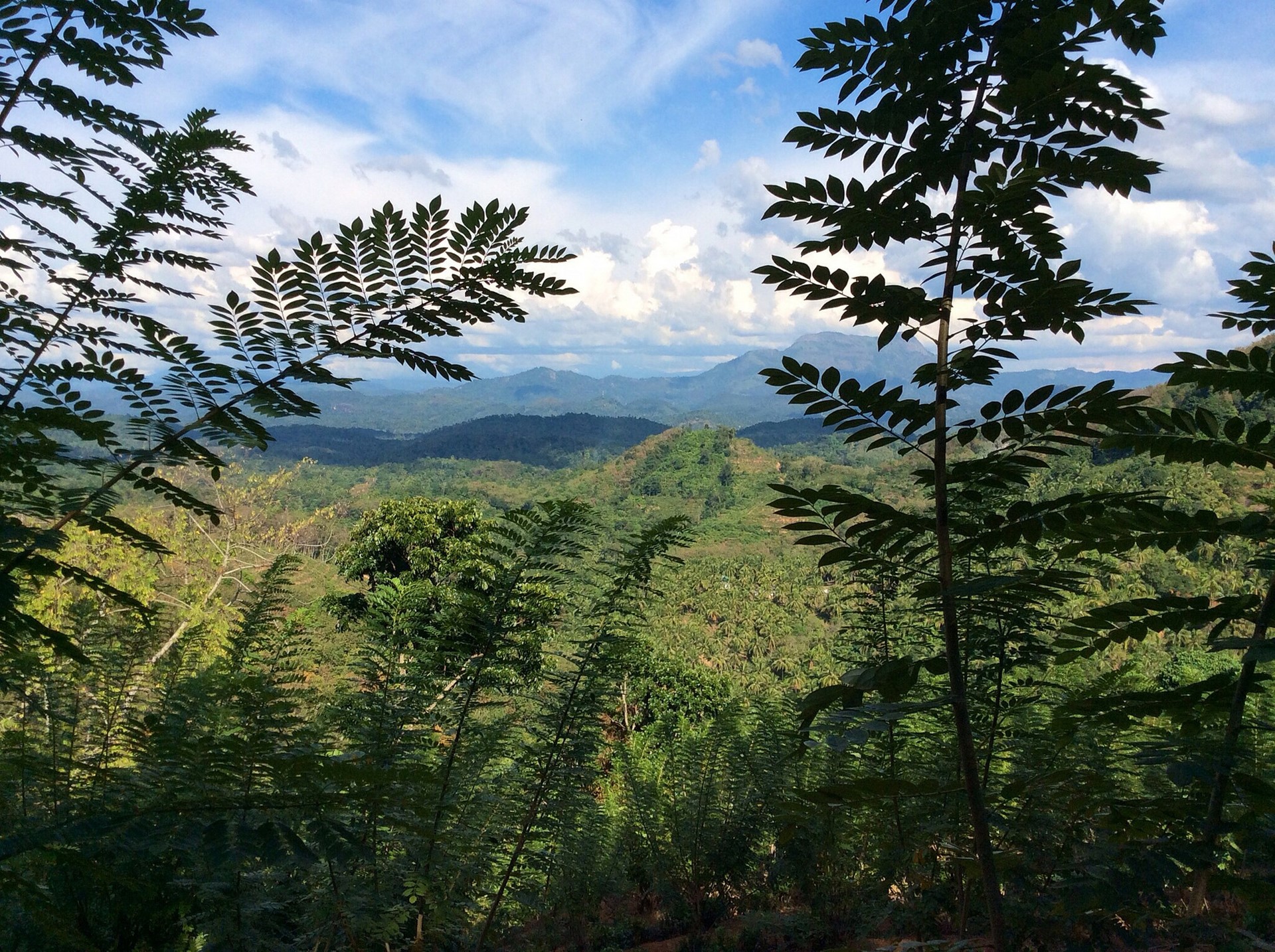 Rosyth Estate House Kegalle Near Kandy Sri Lanka 1 