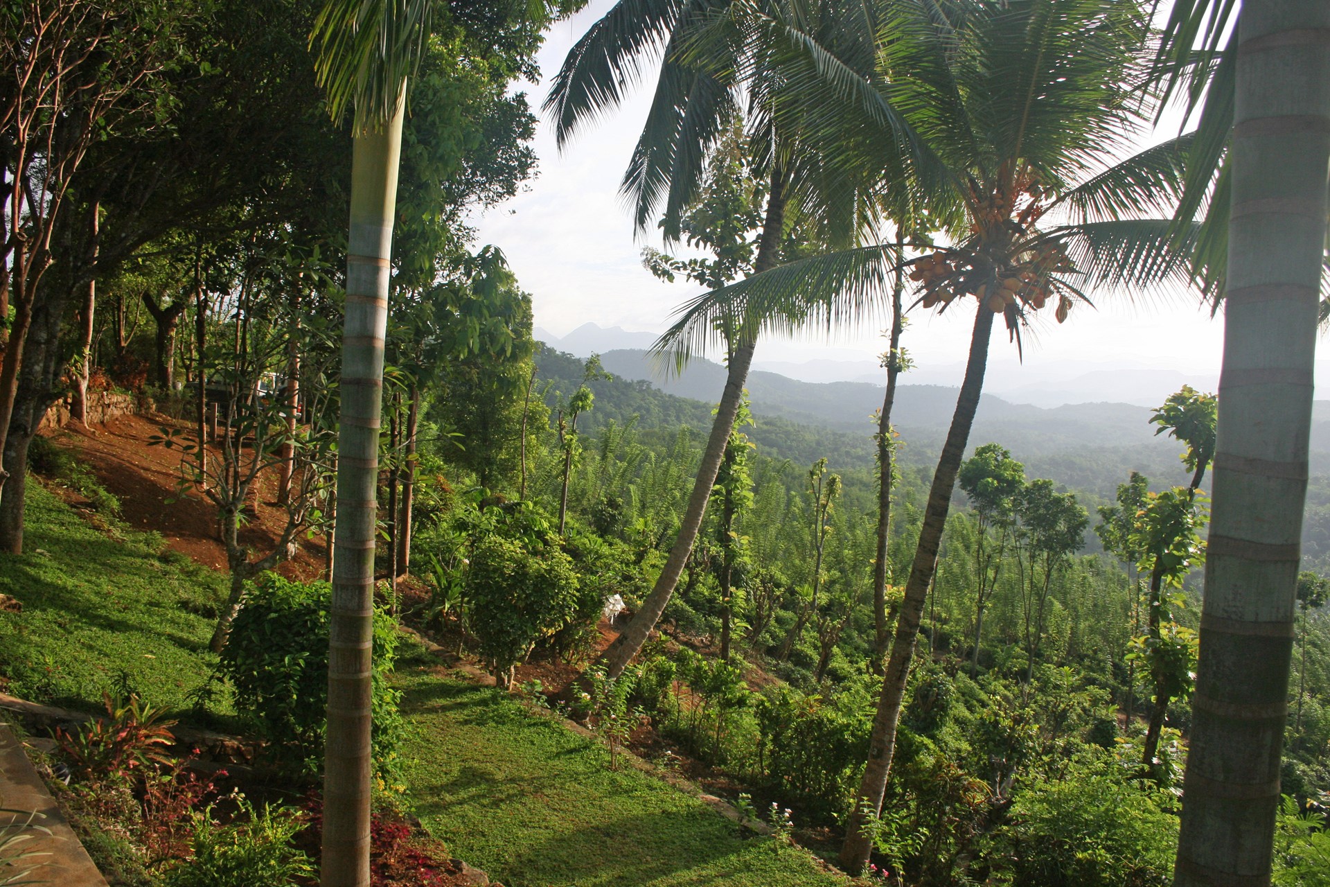 Rosyth Estate House Kegalle Near Kandy Sri Lanka 3 