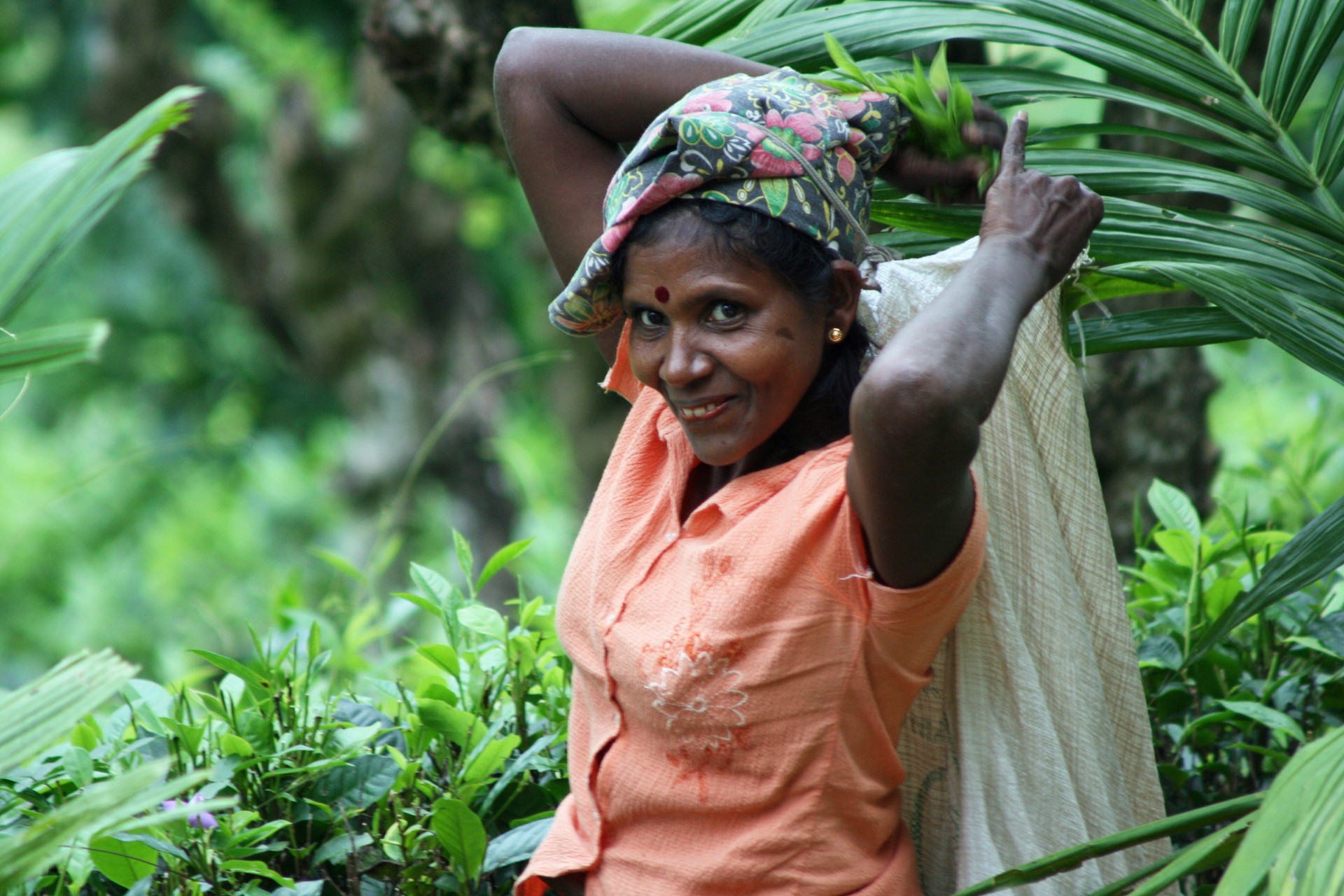 Rosyth Estate House Kegalle Near Kandy Sri Lanka 5 