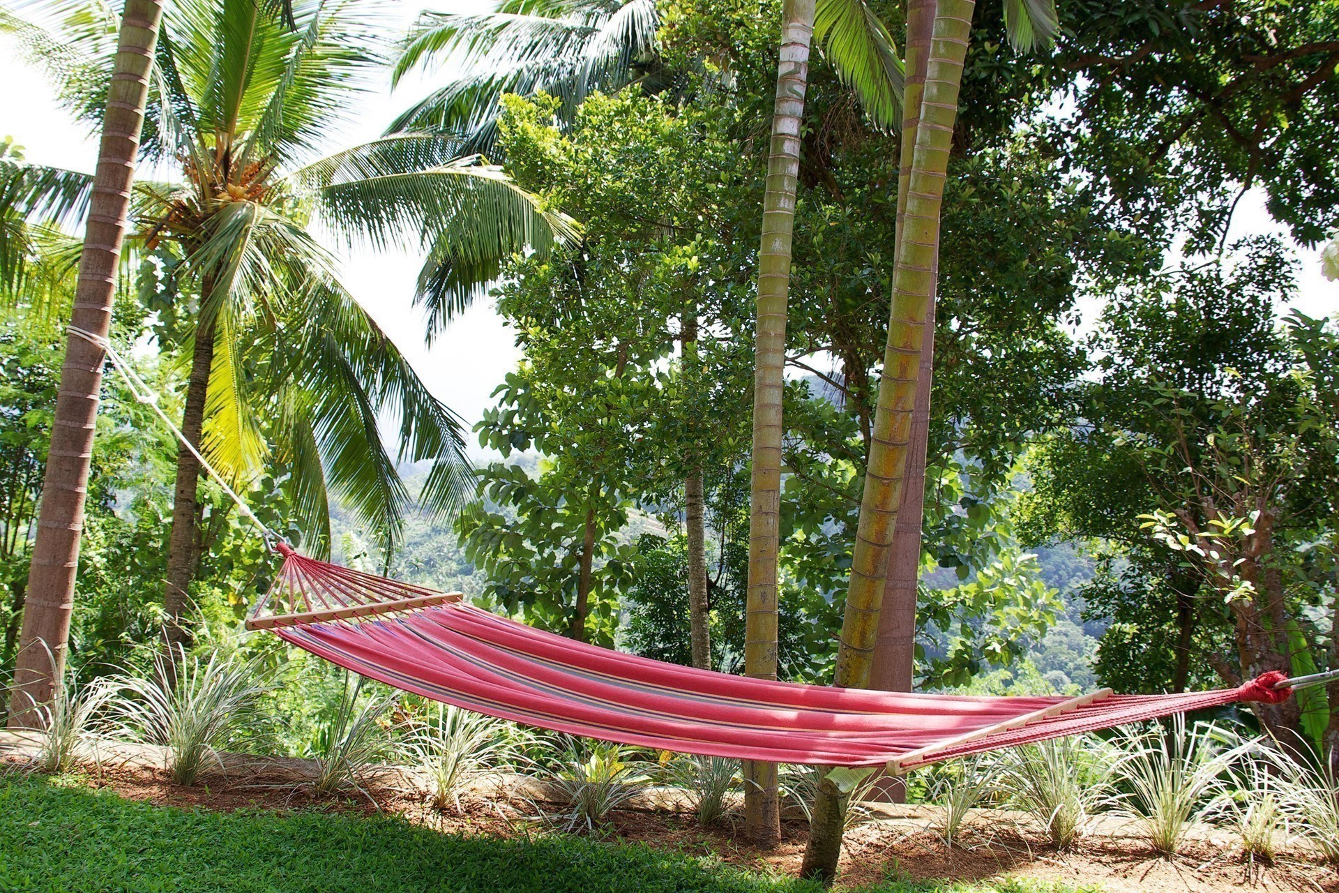 Rosyth Estate House Kegalle Near Kandy Sri Lanka 18 