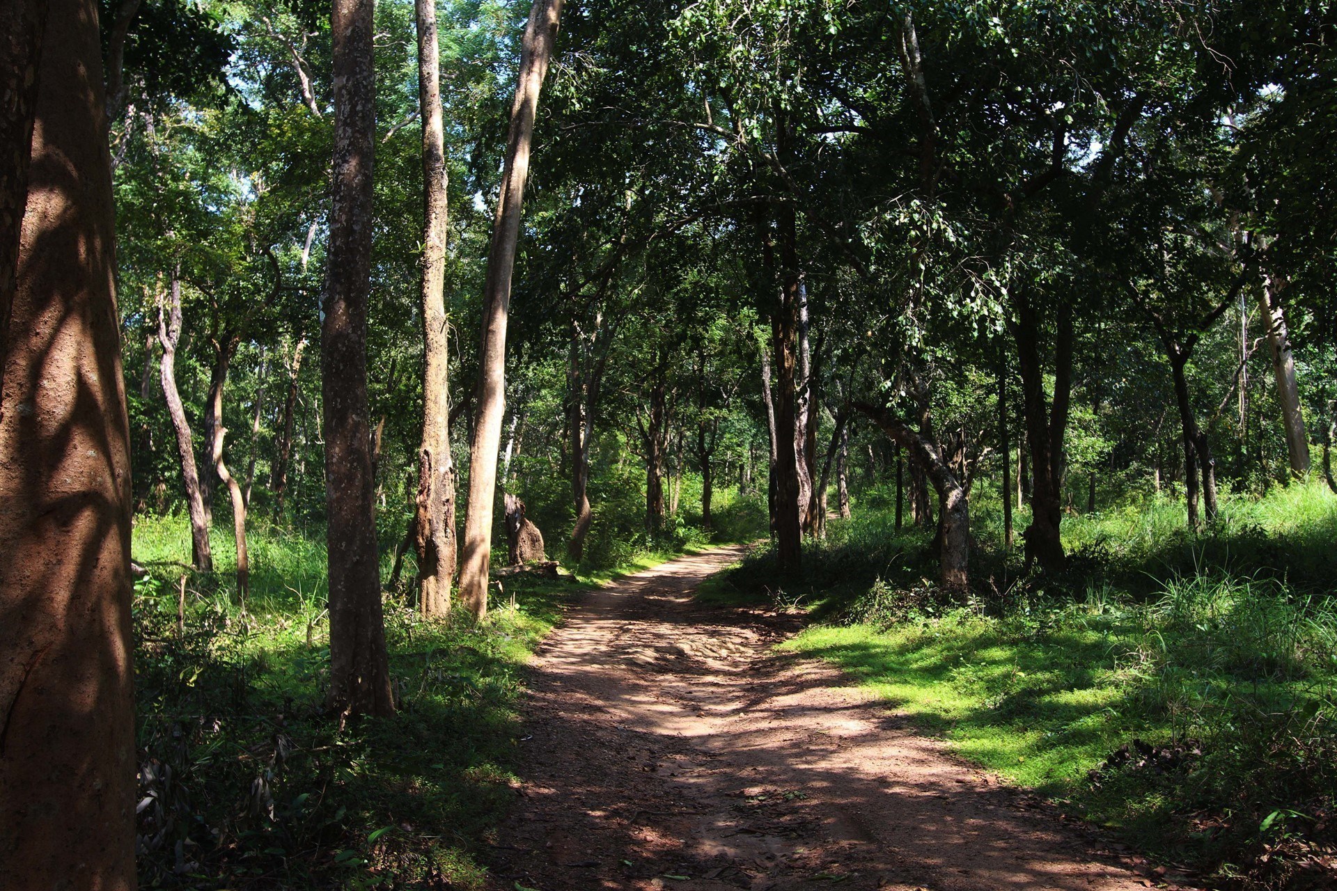 Gal Oya Lodge Gal Oya Sri Lanka 5 