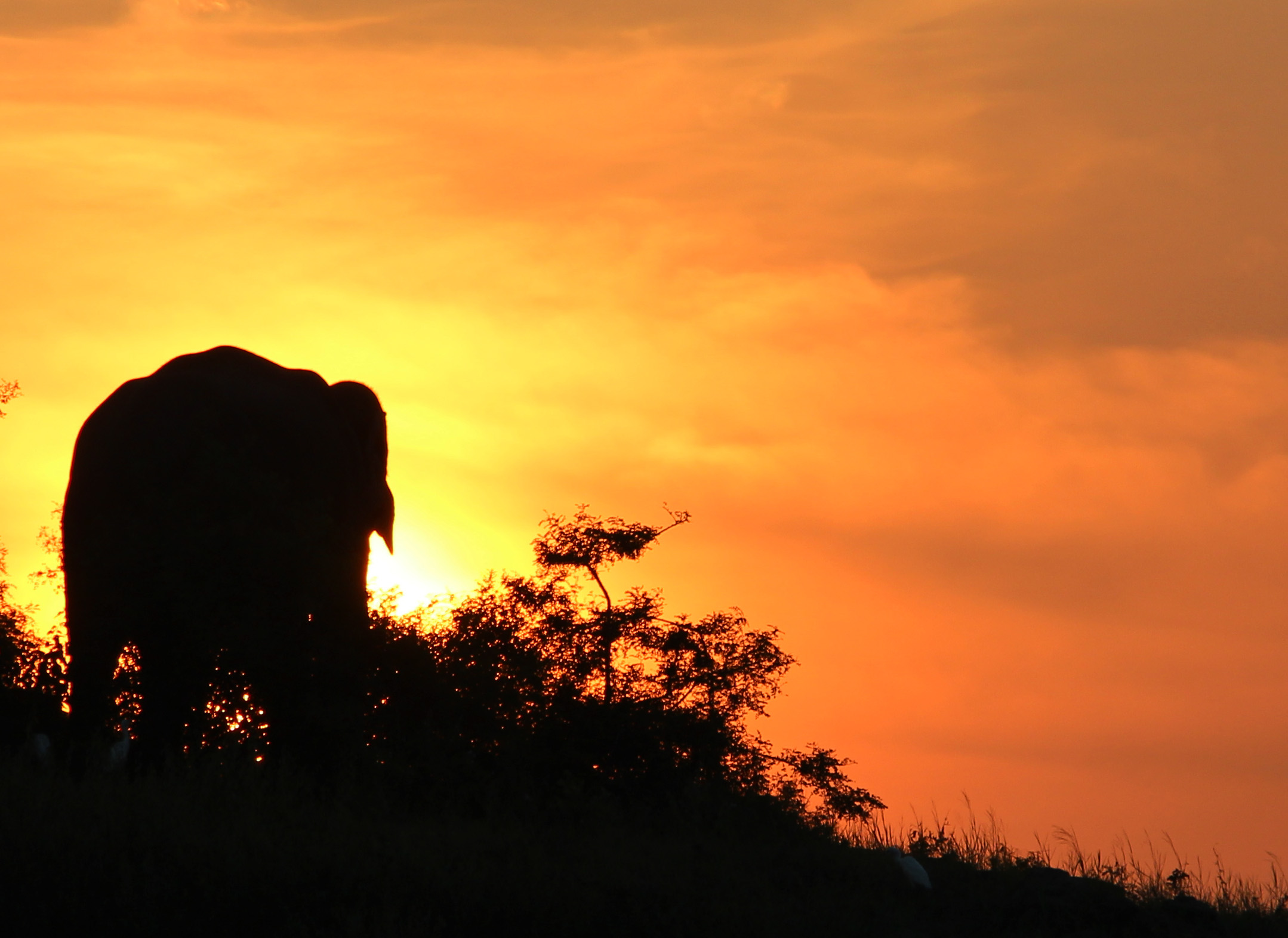 Gal Oya Lodge Gal Oya Sri Lanka 11 