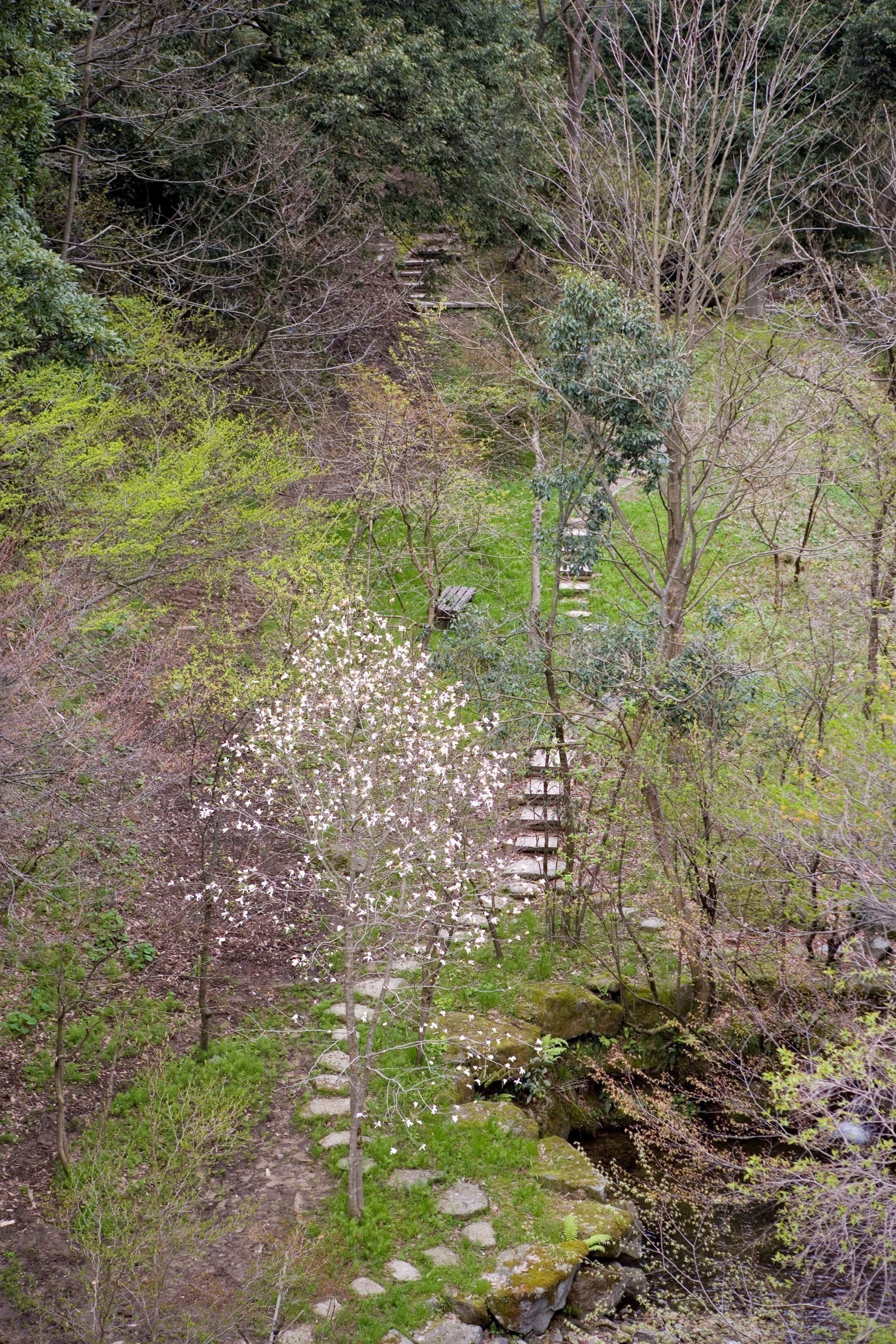 Kayotei Kanazawa Japan 8 