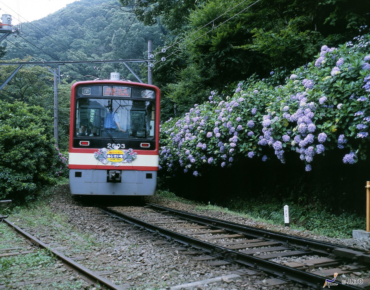 Gardens Architecture And Customs Of Japan 14 