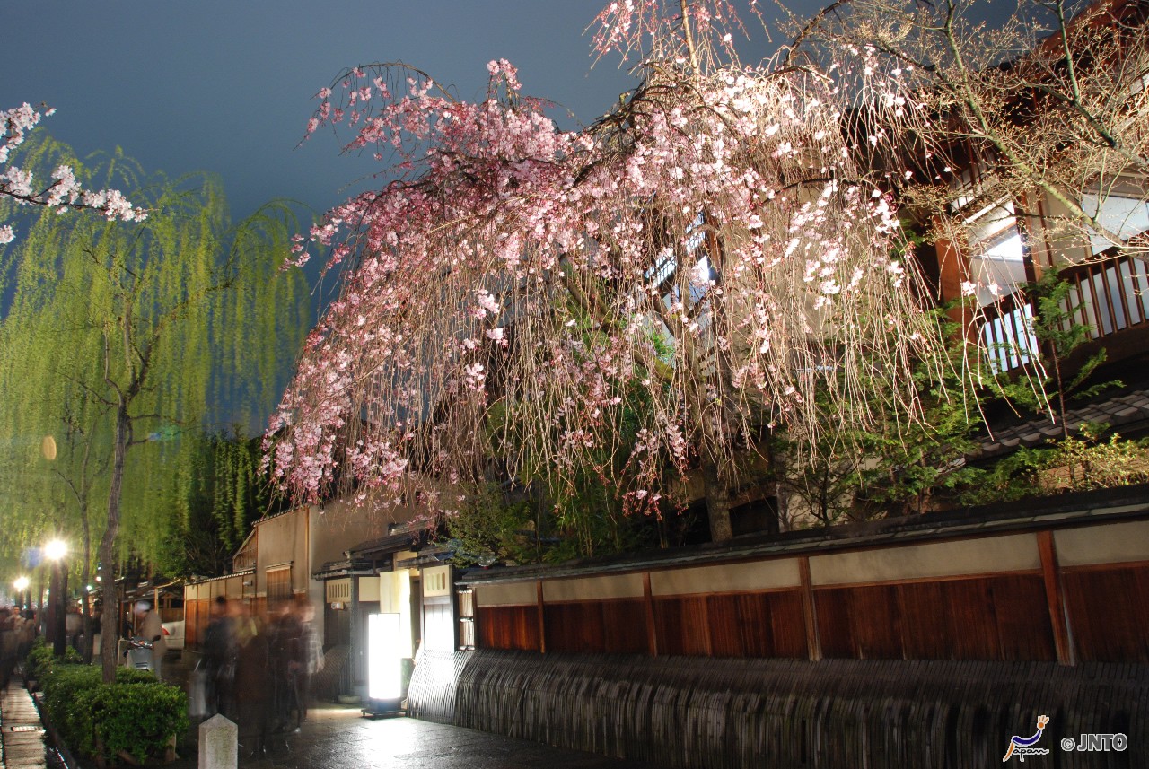 Gardens Architecture And Customs Of Japan