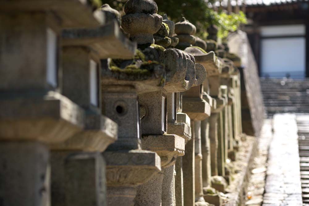 Gardens Architecture And Customs Of Japan 8 
