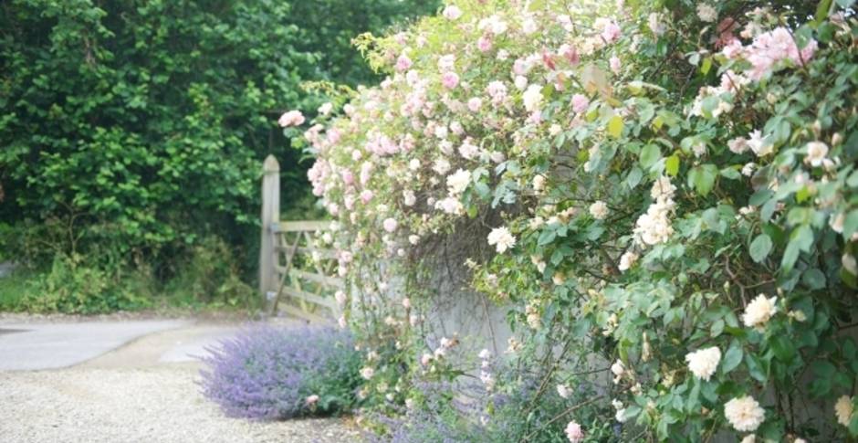 Bruern Cottages Cotswolds UK 4 