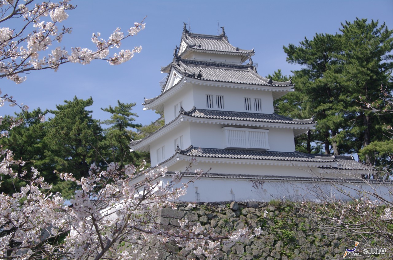 Following The Cherry Blossom Through Japan