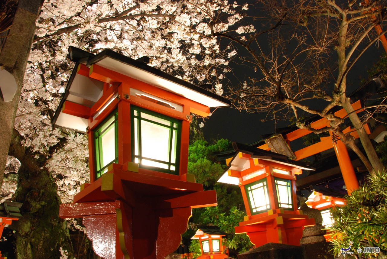 Following The Cherry Blossom Through Japan 5 