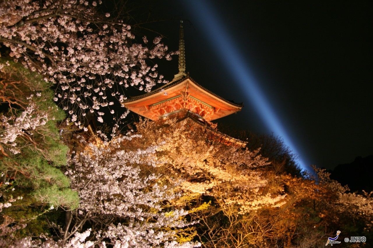 Following The Cherry Blossom Through Japan 12 