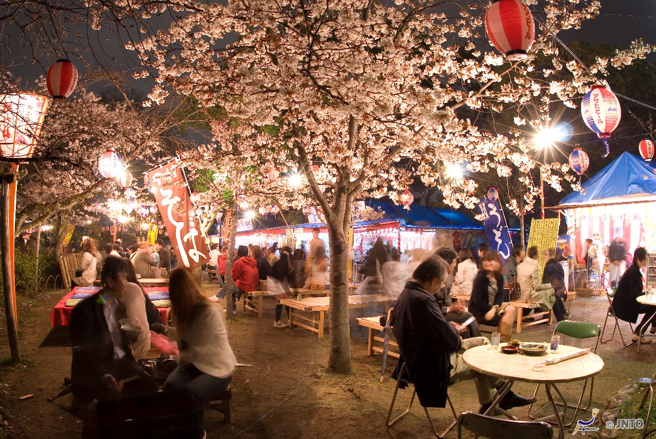 Following The Cherry Blossom Through Japan 10 