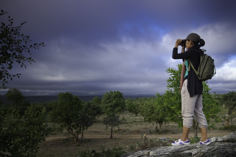 The Serai Bandipur Bandipur South India 9 