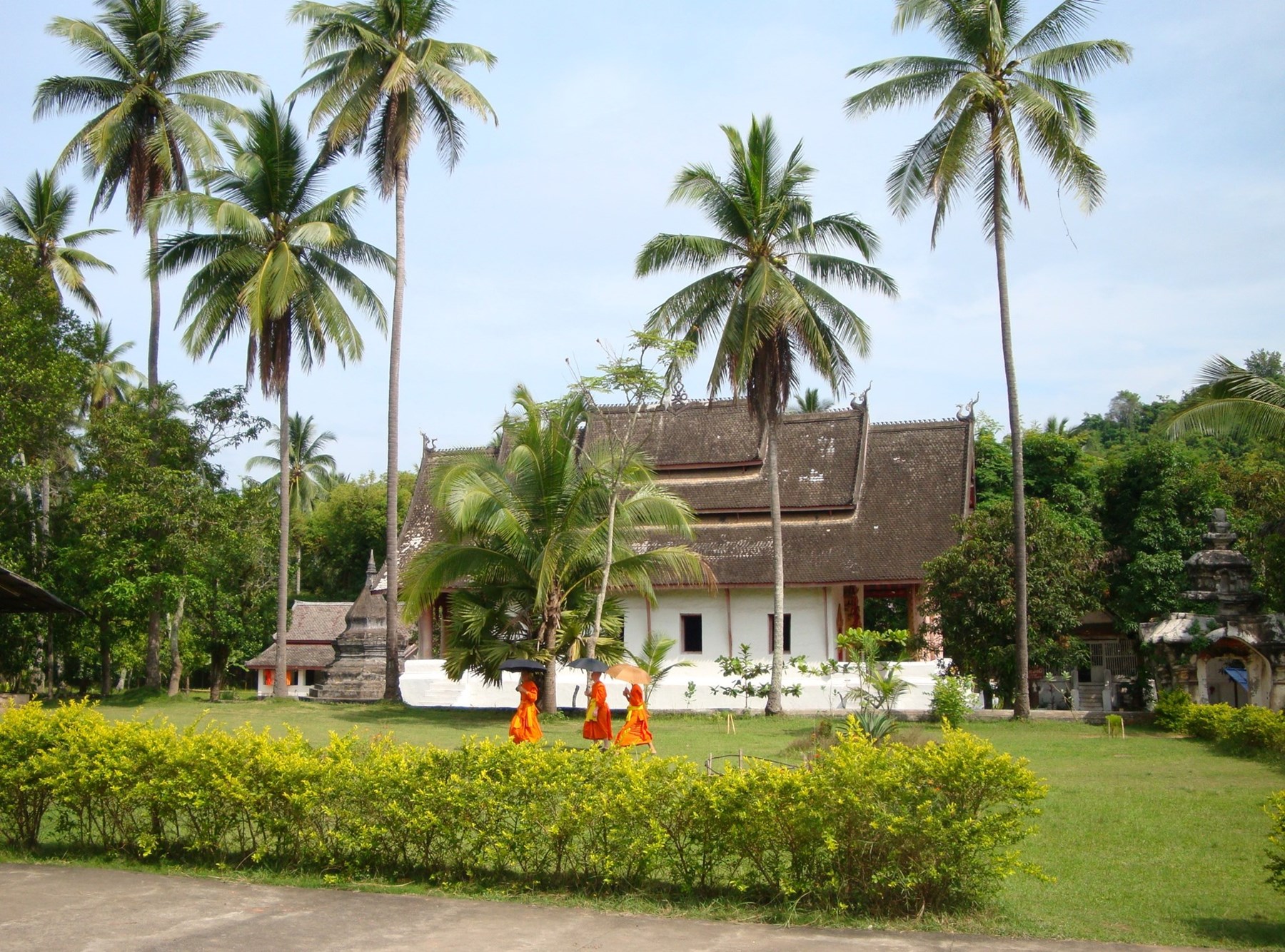 Laos Luang Prabang Temple Monks Palms