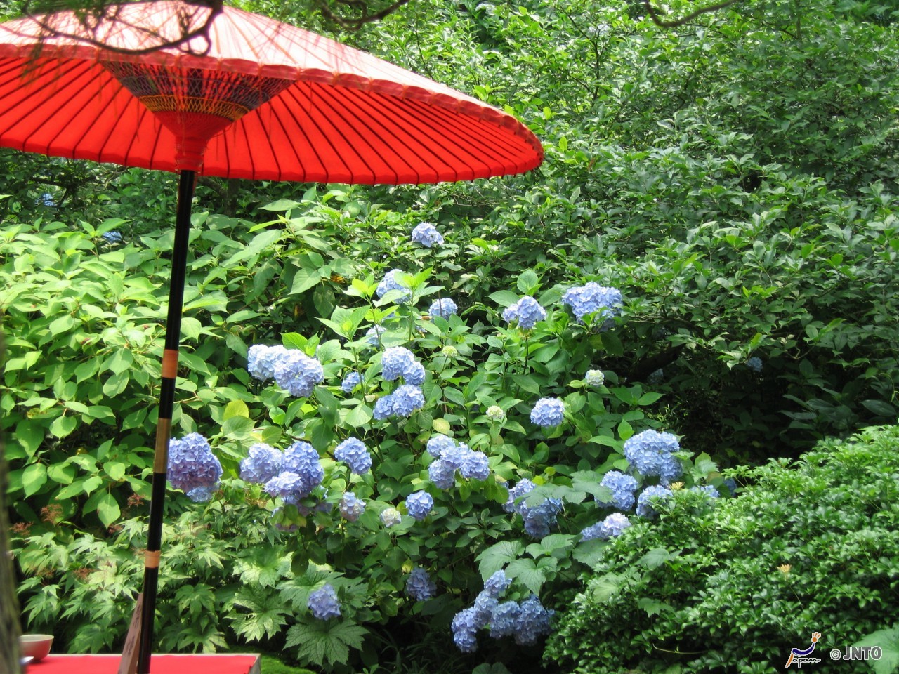 Cities Coasts And Countryside 9 