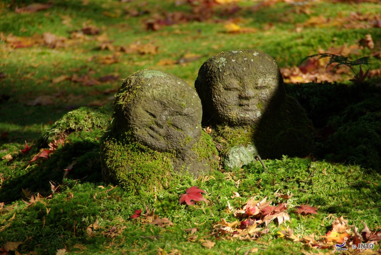 Cities Coasts And Countryside 14 