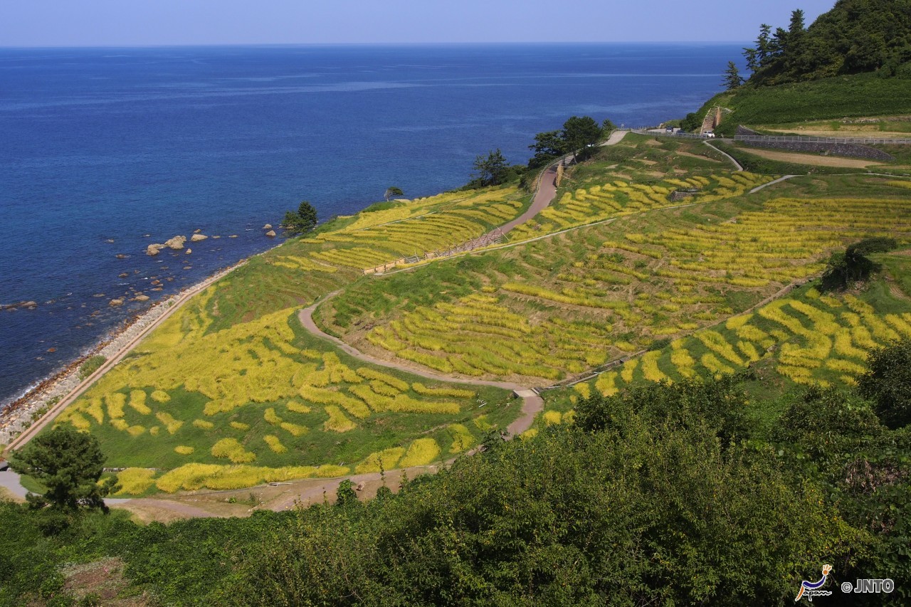 Cities Coasts And Countryside 3 