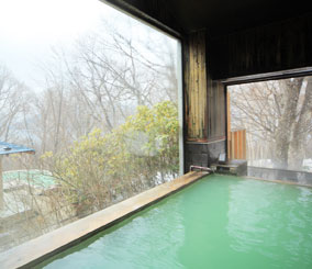 Shiksai Nikko Japan 5 