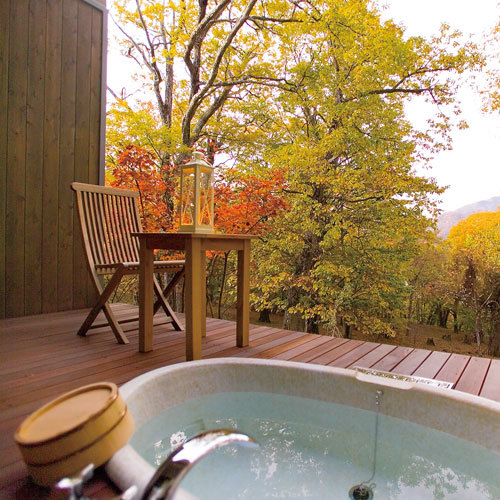 Shiksai Nikko Japan 7 