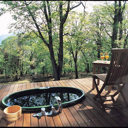 Shiksai Nikko Japan 8 