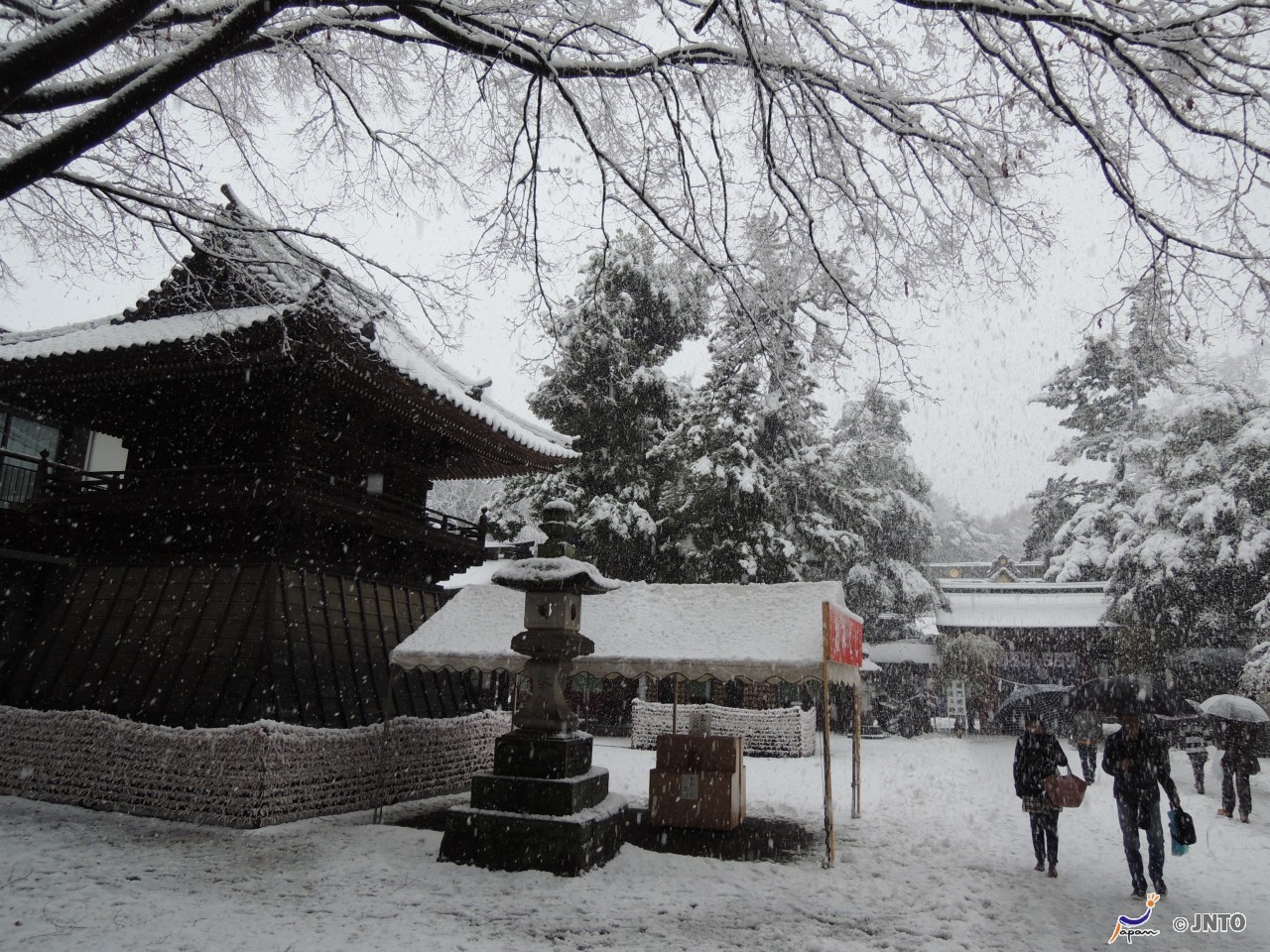 Sake Snow Shrines Sand And Sushi 17 