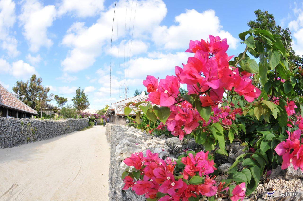 Sake Snow Shrines Sand And Sushi 6 