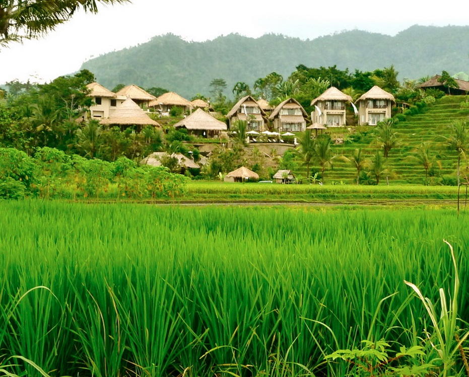 Surya Shanti Bali Indonesia 1 